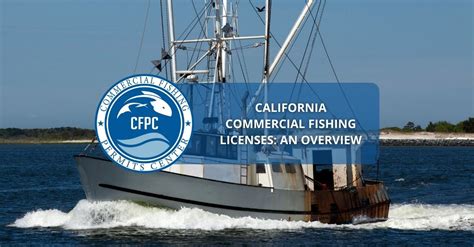 5 Ways Fishing License