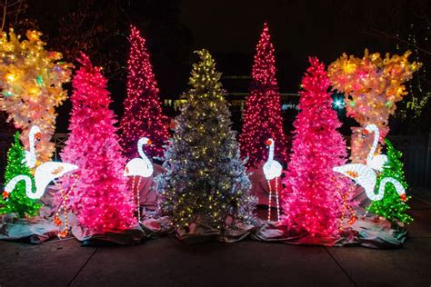 Christmas Lights St Louis 2024 Results Alys Frances Christmas Lights St Louis 2024 Results Alys Frances