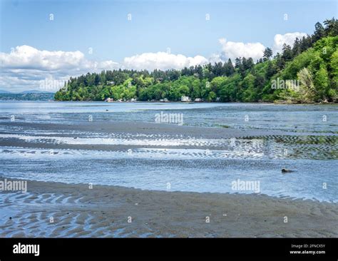 Dash Point Park Tide Information