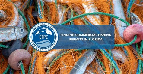 Finding Commercial Fishing Permits In Florida Finding Commercial Fishing Permits In Florida