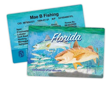 Florida Commercial Fishing License Requirements