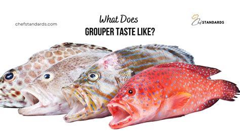 5 Ways Grouper Tastes