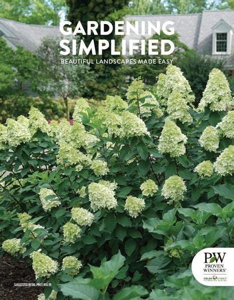 How To Pick The Perfect Plant For Your Garden Proven Winners Direct How To Pick The Perfect Plant For Your Garden Proven Winners Direct