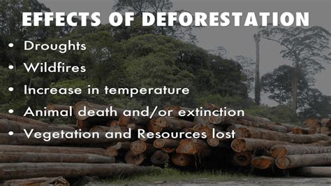 Impacts Of Deforestation Environment Notes Impacts Of Deforestation Environment Notes