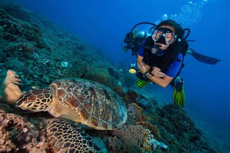 Marine Biology Facts