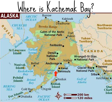 5 Ways Kachemak Bay Alaska