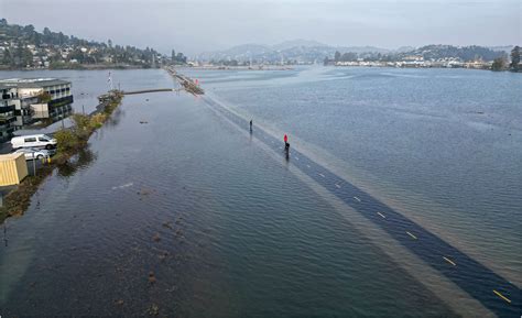 King Tides Offer A Glimpse Into The Future Of Sea Level Rise King Tides Offer A Glimpse Into The Future Of Sea Level Rise
