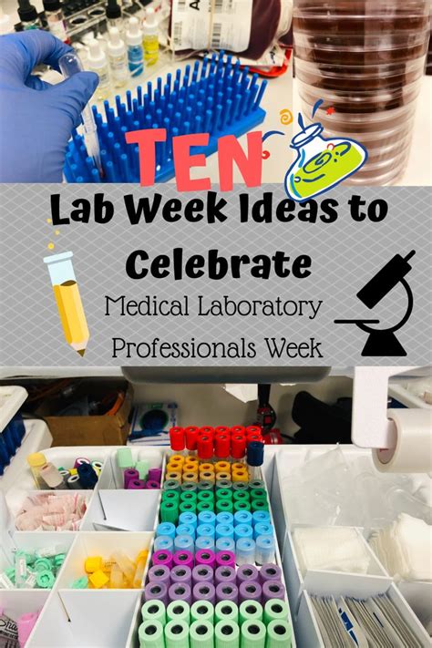 5 Lab Games