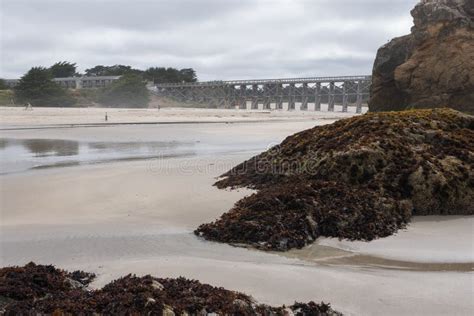 5 Tips Low Tide Fort Bragg