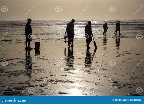 Low Tide Explorations in Washington Ocean Shores
