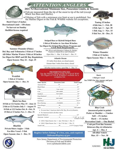 NJ Saltwater Fishing Registration Required