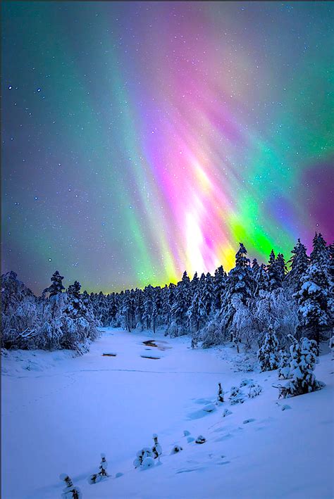 North Pole Lights Display