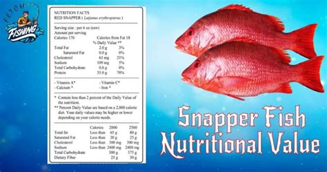 5 Snapper Nutrition Facts