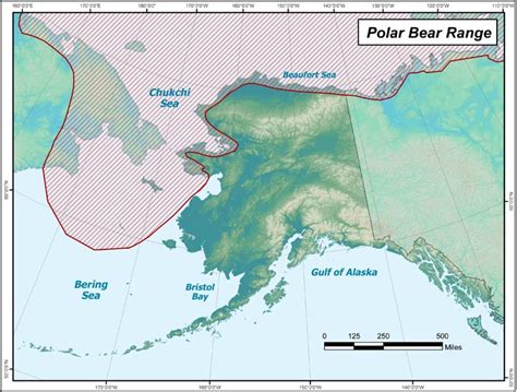 Polar Bear Range in Alaska