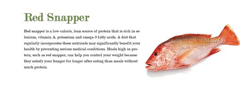 Red Snapper Fish Nutrition Facts Red Snapper Fish Nutrition Facts