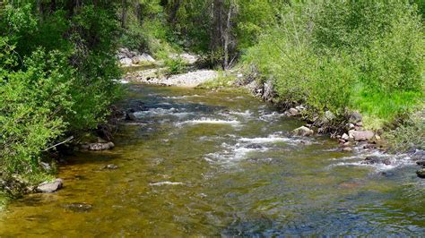 Roaring Fork River Flow Updates
