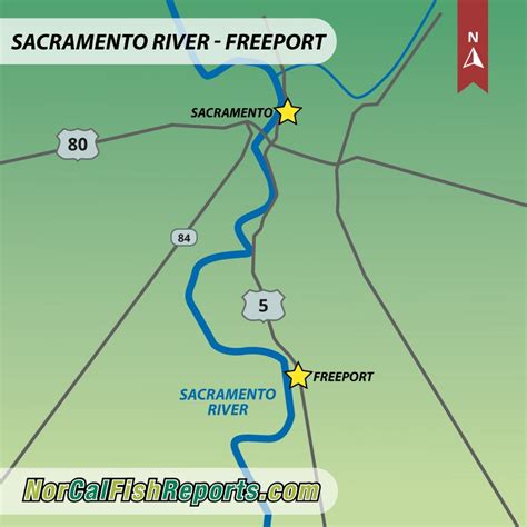 5 Freeport Tides Tips