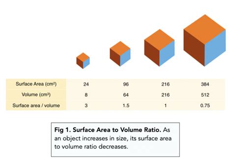 5 Surface Ratio Tips