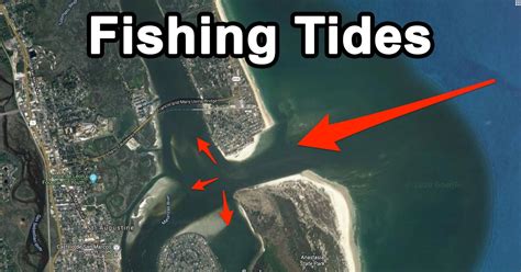 Tides For Fishing How To Optimize Your Catch Tides For Fishing How To Optimize Your Catch