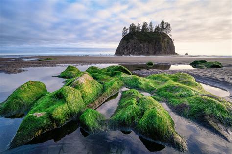 5 Tips Tides Long Beach WA