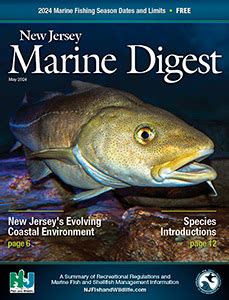 Using Circle Hooks New Jersey Saltwater Fishing Eregulations Using Circle Hooks New Jersey Saltwater Fishing Eregulations