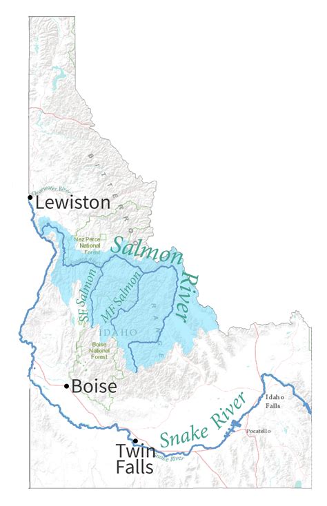 5 Ways Salmon River Water Levels Impact Fish