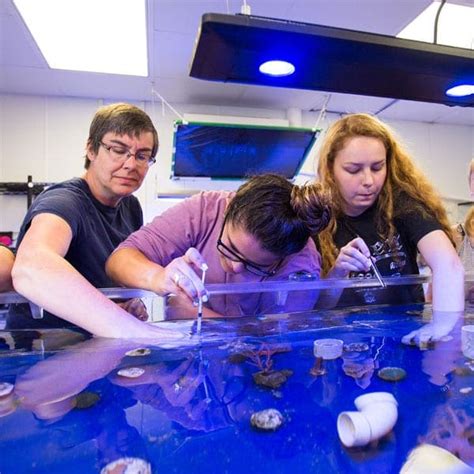 Marine Biology Degree Careers